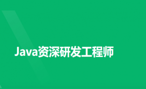 Java资深研发工程师9期|NX