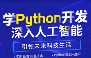 python人工智能|2022年|D内