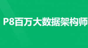 P8百万大数据架构6期|2022年|NX