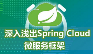 深入浅出Spring Cloud微服务框架视频教程