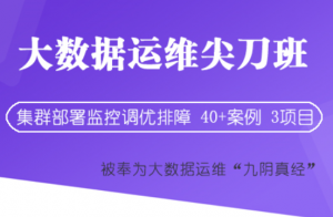 大数据运维尖刀班（2期）|大讲台