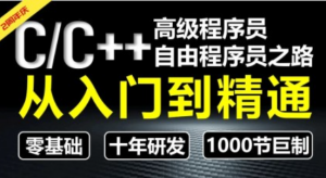 C/C++从入门到精通（高级程序员之路2期） |奇牛