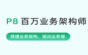 P8百万业务架构师3期|2022年|NX