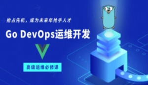 Go/Golang DevOps运维开发实战集训营|2022年