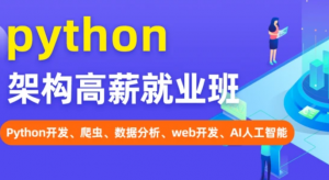 Python高薪架构就业班系列课程|TL（更新中）