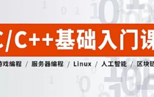 C语言/C++ 零基础入门精编版 |最新C++17标准/语法/逆向/技巧)