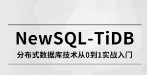 NewSQL-TiDB 分布式数据库技术从0到1实战入门|MSB