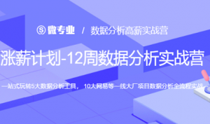 涨薪计划12周数据分析实战营|2022年|网易（更新完毕）