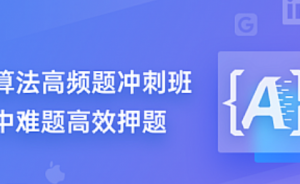 算法面试高频题冲刺班|九章