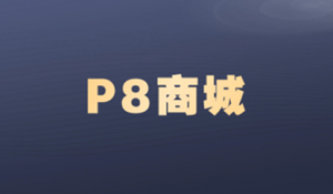 P8商城|MCA小课