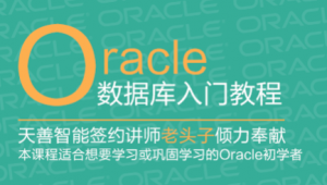 Oracle 数据库入门教程