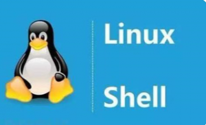 Linux/Shell脚本编程视频教程入门到高级实战AWK SED|小D