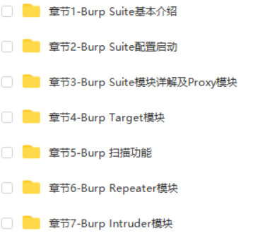 Burp Suite从入门到实战2022|MSB